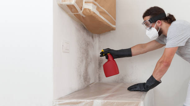 Professional Mold Remediation technician working in Highland-on-the-Lake, NY